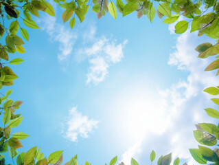 Obraz premium 新緑の葉っぱと夏の日光と青空,Generative AI