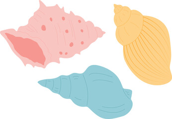 Set sea shells vector illustration