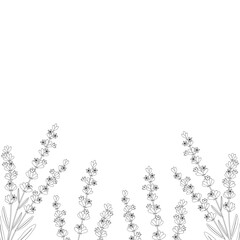 Card frame  lavender flowers graphic vector illustration