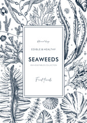 Hand-drawn edible seaweeds frame design. Sea algae in sketch style. Vector illustration with kelp, wakame, kombu, and hijiki drawings. Healthy food ingredients banner for Asian cuisine menu. © sketched-graphics