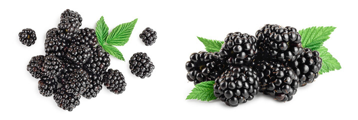 blackberry with leaf isolated on a white background closeup