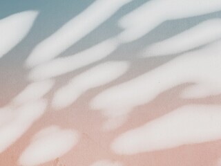 Abstract of tree shade on empty wall background.