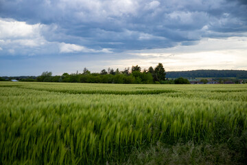 Obraz premium Landscape shot of fields and cloudy sky