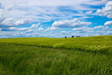 Landscape shot of fields and cloudy sky