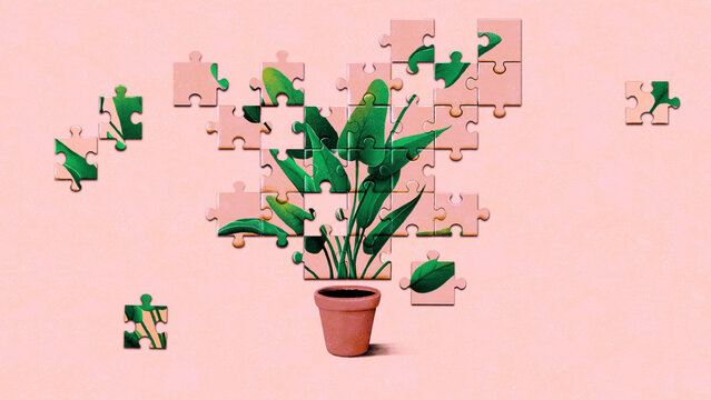 Pot plant jigsaw puzzle
