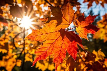Naklejka na ściany i meble Captivating Autumn Foliage: Sunny Day Showcasing Beautiful Maple Leaves. Generative AI