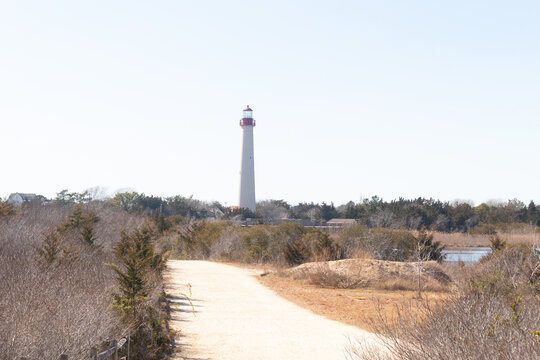 This is an image of Cape May Point lighthouse from a walking path that was close by. I love the red metal at the top of this lighthouse and the white tower. The beautiful walking path looks yellow.