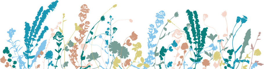 Vector illustration of wild flowers, herbs and grasses, insects.Thin delicate silhouette of different plants - clover, dill, mint, chamomile. Isolated on white background. Herbal graphic illustration