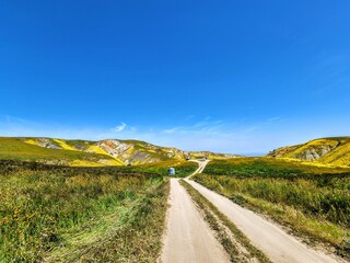 Landscape of colorful yellow, purple, and orange wildflowers covering the hills of Carrizo Plain National Monument, April 2023