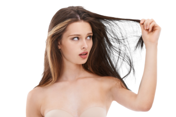 Woman, hair care and split ends problem isolated on a transparent png background. Hairloss, damage and serious female model looking at messy hairstyle, frizzy and breakage after salon treatment.