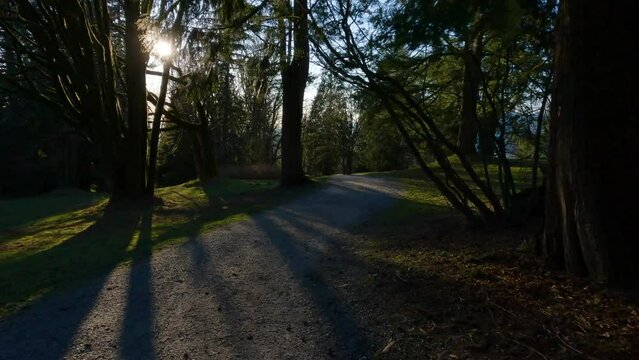 Hiking Trail on top of Burnaby Mountain during Sunny Spring Season Sunset. Vancouver, British Columbia, Canada.