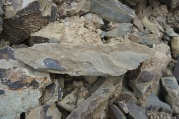 raw gray shale clastic sedimentary rock formed from mud on the nature.