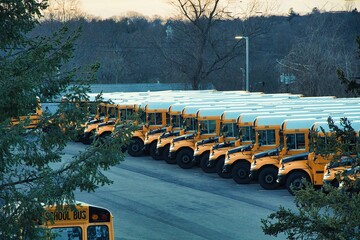 the yellow school buses are parked in rows near each other
