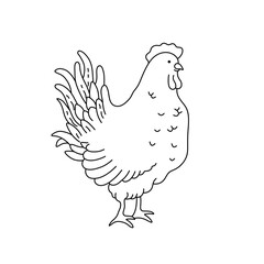 Vector isolated one single cute cartoon rooster hen cock standing side view colorless black and white contour line easy drawing
