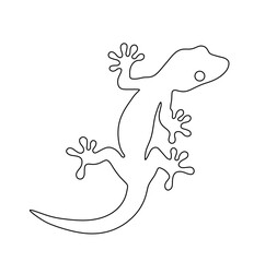 Vector isolated one single gecko lizard with paws top view colorless black and white contour line easy drawing