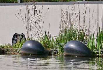 Fender vor Uferböschung mit Nistplätzen