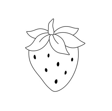 Vector isolated one single strawberry berry with seeds and sepals colorless black and white contour line easy drawing