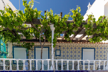 Traditional Algarve house with vineyard