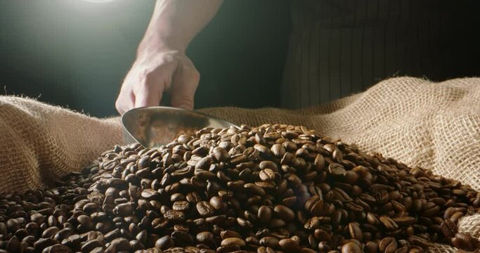 Freshly roasted coffee beans pour in jute bag with scoop. Concept of taste