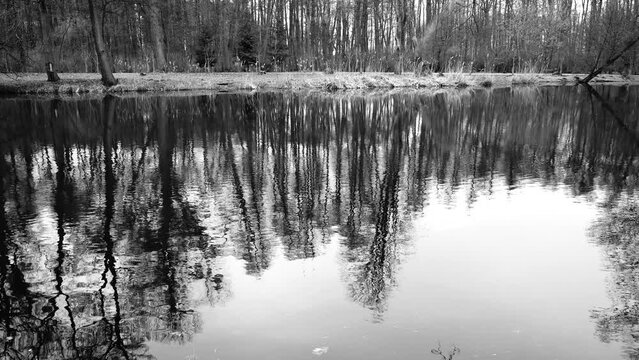 Beautiful windy of water lake reflecting forest trees in the park