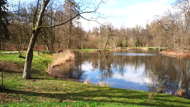 Beautiful fpptage of forest trees reflecting on a lake by autumn leaves coast in the park