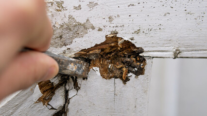 dilapidated, crumbling balustrade of the house, old wood at the entrance to the house, repair of...