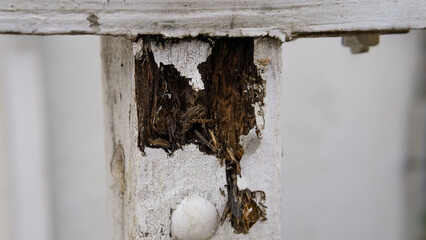 dilapidated, crumbling balustrade of the house, old wood at the entrance to the house, repair of dilapidated balustrade
