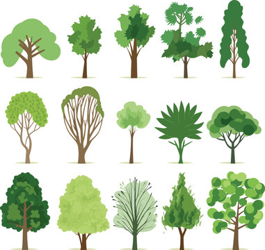Collection of green tree vector Set Trees Isolated on White Background Set of forest and park trees for nature design