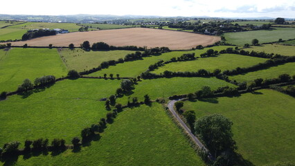Fototapeta na wymiar Green fields of Ireland lined with trees, top view. Green Irish landscape.