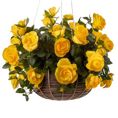 yellow roses basket isolated on a transparent background