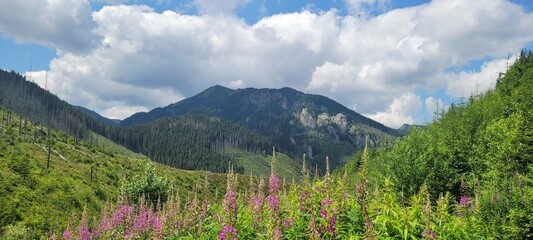 Tatry, Góry, Szlaki w górach - obrazy, fototapety, plakaty