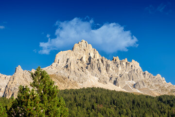 Forest in front of Latemar mountains south tyrol italy