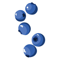 Vector illustration of blueberry fruit for helaty lifestyle