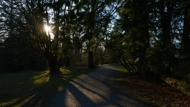 Hiking Trail on top of Burnaby Mountain during Sunny Spring Season Sunset. Vancouver, British Columbia, Canada.