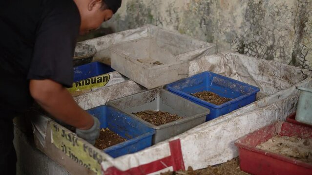 Feeding maggot cultivation in tubs. Maggot is an animal that can decompose organic waste, maggot is cultivated for poultry feed, ornamental fish cultivation or fishing bait.