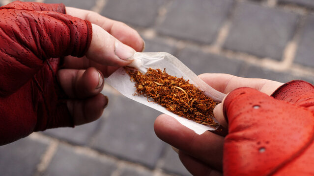 las manos con guantes rojos enrollan el tabaco en un cigarrillo. vagabundo fuma tabaco