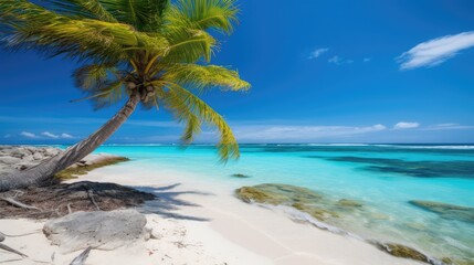 A beach with a palm tree and a blue sky