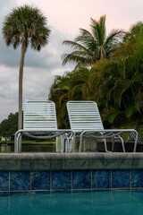 Pool chairs and a palm tree at sunset 