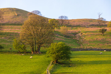 View of the green hills in North UK. Sedbergh, Cumbria. UK.