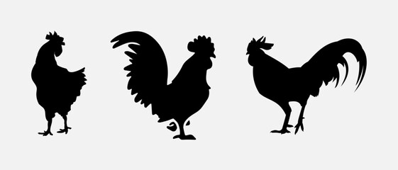 isolated black silhouette of a chicken , vector collection