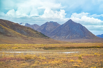 Canada, Yukon, view of the tundra in autumn, with mountains in background, beautiful landscape in a wild country
