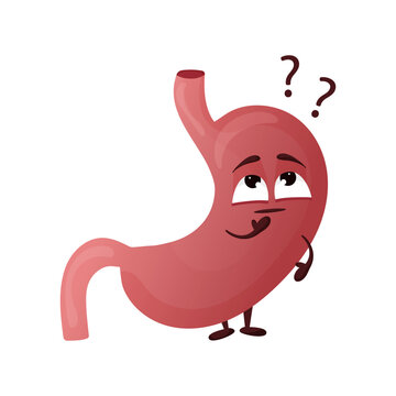 Cartoon stomach character. Concept choosing healthy food. Internal organ human. Vector illustration