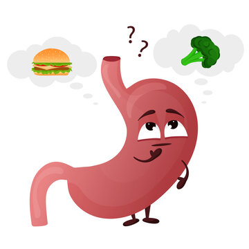 Cartoon cute stomach character. Concept choosing healthy food. Internal organ human. Vector illustration