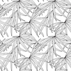 Jungle palm leaves seamless pattern for surface design, ink black and white hand drawn background