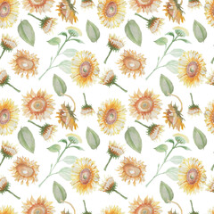 sunflowers flowers harvest watercolor illustration hand painted oil plants agriculture farm field