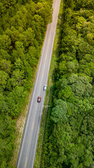 Estrada Floresta Verde Bosque Mata Atlântica Pinheiros Natureza Ilha Santa Catarina Florianópolis Floripa Moçambique Rua Asfalto Carros Transporte Paisagem Natural Viagem Viajar Destino Férias Feriado