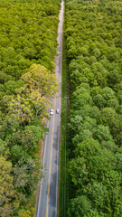 Estrada Floresta Verde Bosque Mata Atlântica Pinheiros Natureza Ilha Santa Catarina Florianópolis Floripa Moçambique Rua Asfalto Carros Transporte Paisagem Natural Viagem Viajar Destino Férias Feriado