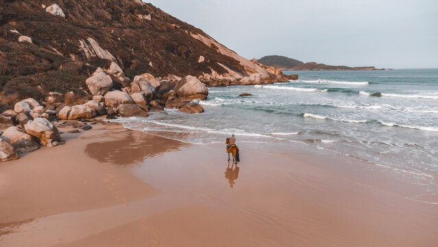 Cavalo Animal Praia Paradis&iacute;aca Cavalgada Cavalgar Mo&ccedil;ambique Florian&oacute;polis Floripa Santa Catarina Pedras Rochas Oceano Praia Atl&acirc;ntico Mar Ondas Areia Animais Brasil Brasileira Aventura