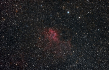 Cosmic Beauty: A Nebula Portrait