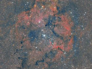 Cosmic Beauty: A Nebula Portrait